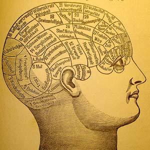 Life & The Mind